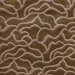 Kravet 37241.16.0 Fabric