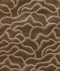 Kravet 37241.16.0 Fabric