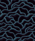 Kravet 37241.5.0 Fabric
