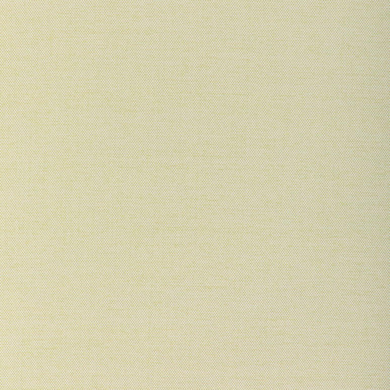 Kravet Softground Cactus Fabric
