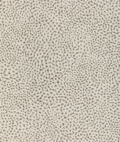 Kravet Pitterpatter Feather Fabric