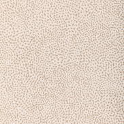Kravet Pitterpatter Terracotta Fabric