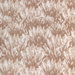 Kravet Wildbrush Terracotta Fabric