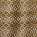 Kravet Joyride Amber Fabric