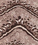 Kravet Moth Weave Mulberry Fabric