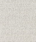 Kravet Cora Gesso Fabric