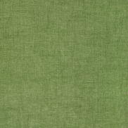Kravet Jesse Grass Fabric