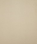 Pindler & Pindler Overton Birch Fabric