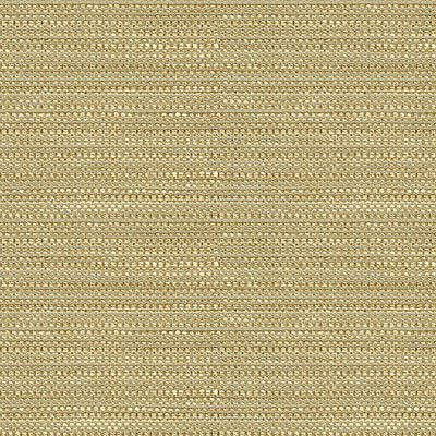 Kravet 3776.16 Fabric