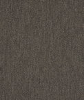 Sunbrella Pashmina Coal Fabric