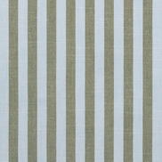 Sunbrella Sail Away Aloe Fabric