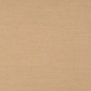 Sunbrella Play Camel Fabric