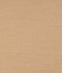 Sunbrella Play Camel Fabric