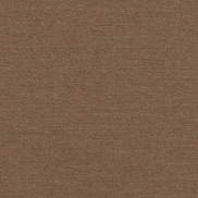 Sunbrella Play Mocha Fabric
