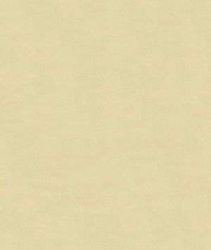 Kravet 4070.1116 Fabric