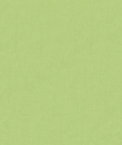 Kravet 4070.330 Fabric