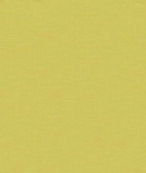 Kravet 4070.3 Fabric