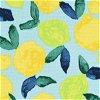 P/K Lifestyles Outdoor Citrus Squeeze Turquoise Fabric - Image 2