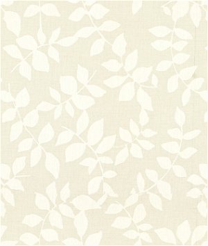 Kravet 4101.1 Fabric