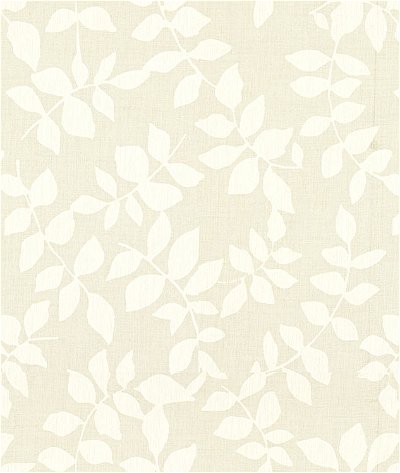 Kravet 4101.1 Fabric