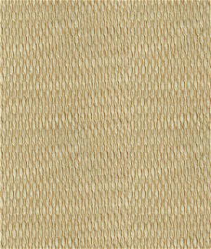 Kravet 4105.1616 Fabric