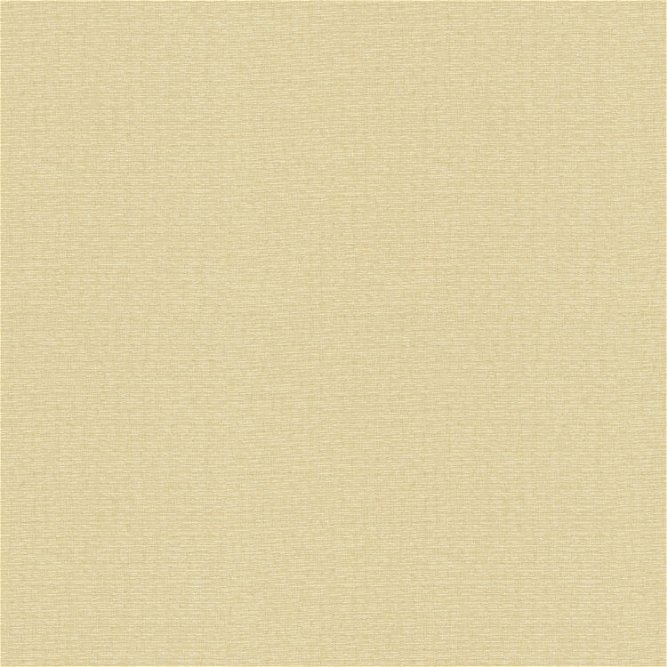 Kravet 4113.16 Fabric