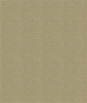 Kravet 4119.4 Fabric