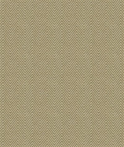 Kravet 4119.4 Fabric