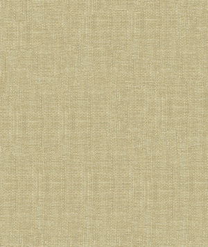 Kravet 4161.1116 Fabric