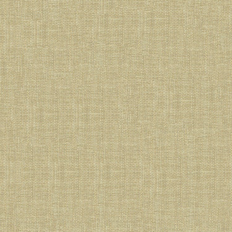 Kravet 4161.1116 Fabric