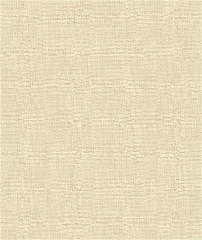 Kravet 4161.1 Fabric