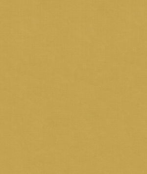 Kravet 4179.416 Beech Champagne Fabric
