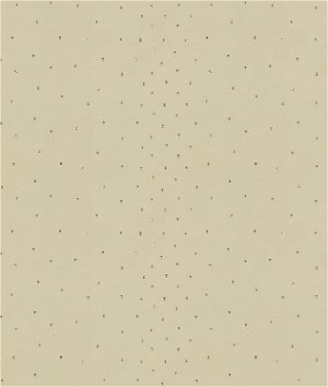 Kravet 4191.16 Sunstone Sand Fabric