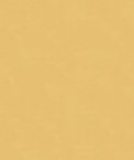 Kravet 4202.114 Luster Satin Shell Fabric