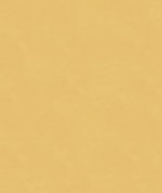 Kravet 4202.114 Luster Satin Shell