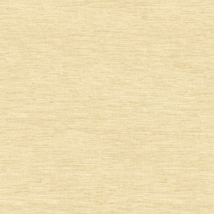Kravet 4205.416 Fabric