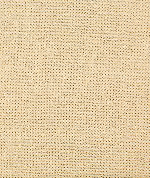 Metallic Gold Russian Netting Fabric