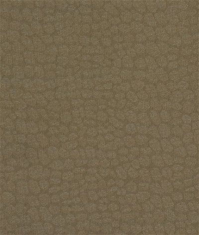 Kravet 4276.6 Moreno Bronze Fabric