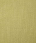 Pindler & Pindler Rosario Citrus Fabric