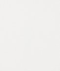 Pindler & Pindler Rosario Ivory Fabric