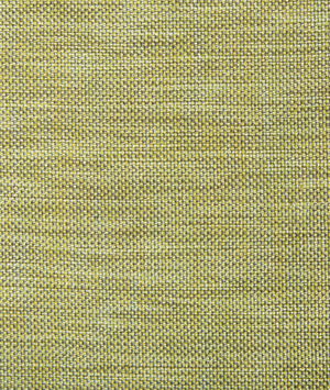 Kravet 4458.1411 Fabric