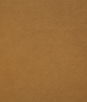 Pindler & Pindler Amori Amber Fabric