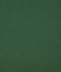 Pindler & Pindler Amori Palm Fabric