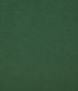Pindler & Pindler Amori Palm Fabric