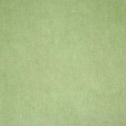 Pindler & Pindler Amori Sprout Fabric
