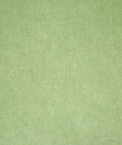 Pindler & Pindler Amori Sprout Fabric