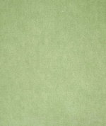 Pindler & Pindler Amori Sprout