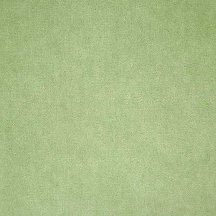 Pindler &amp; Pindler Amori Sprout Fabric