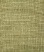 Pindler & Pindler Fabienne Lime