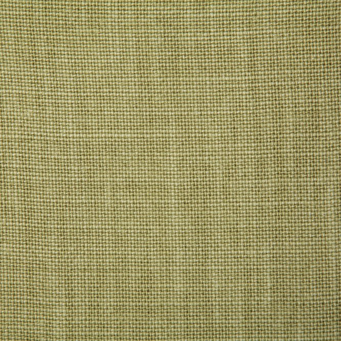 Pindler &amp; Pindler Fabienne Lime Fabric